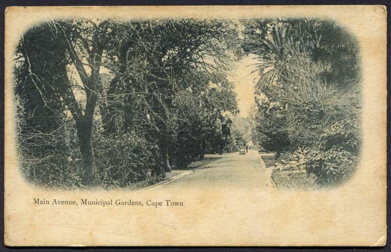 Post Card