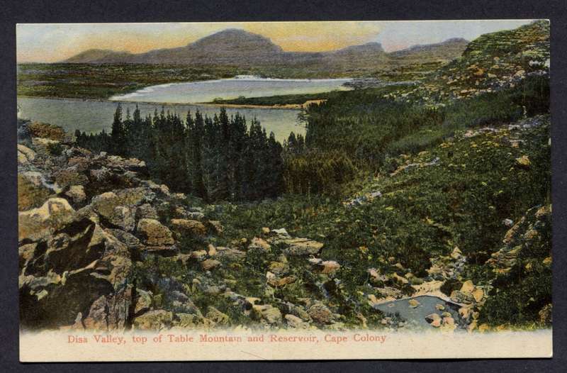 Post Card