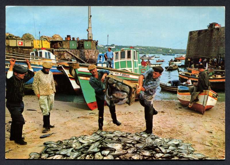 Portugal - Post Card