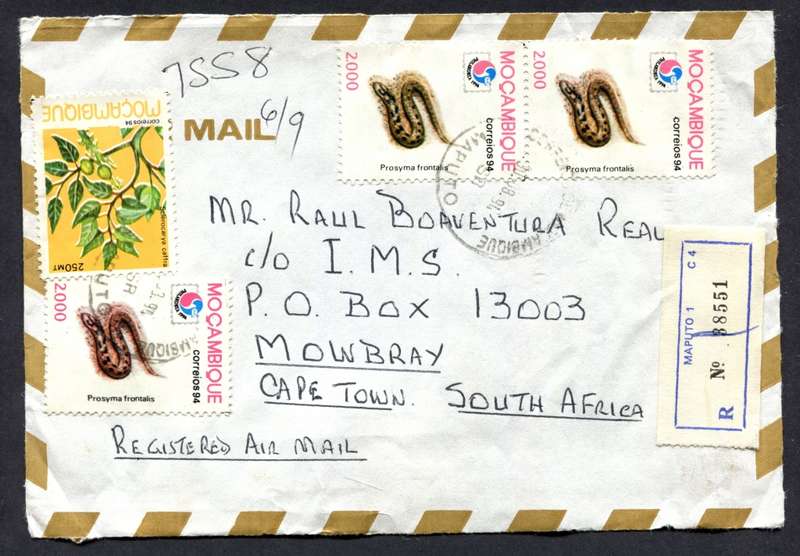 Mozambique -Front Part Only - This Is NOT A Cover