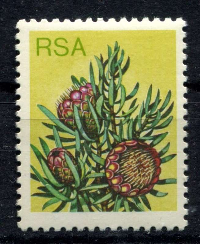 RSA - Protea 6c Variety Black Omitted - 1977 - MNH