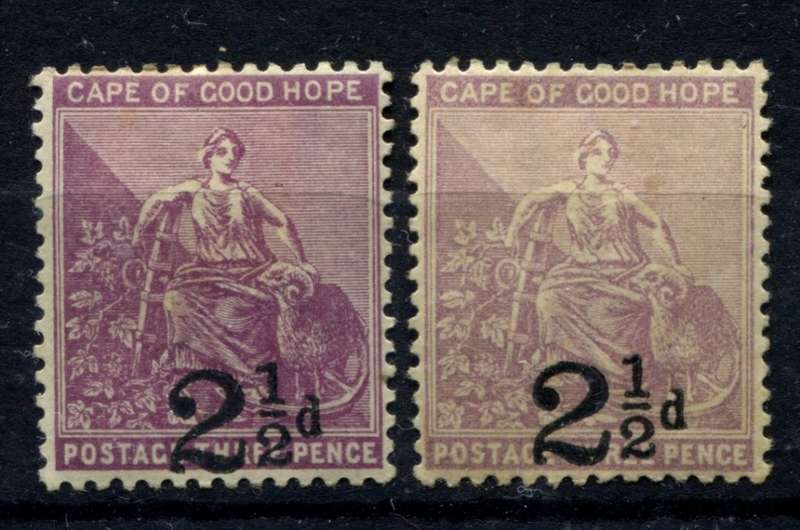 Cape Of Good Hope - 1891 - MM