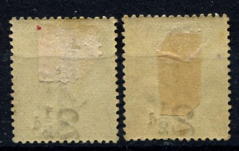 Cape Of Good Hope - 1891 - MM
