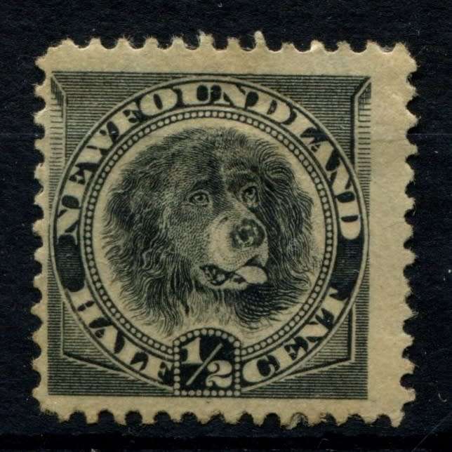 Canada - Newfoundland - 1894 - Used