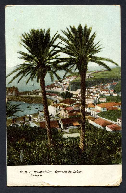 Cape of Good Hope - Post Card