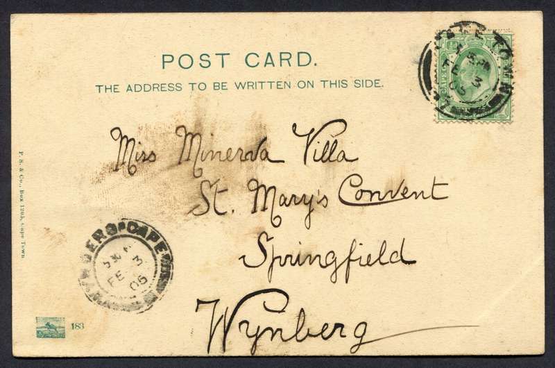 Cape of Good Hope - Post Card