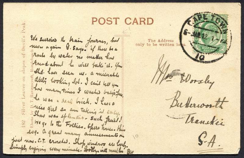 Cape of Good Hope - Post Card