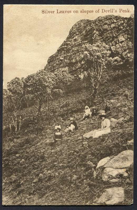 Cape of Good Hope - Post Card