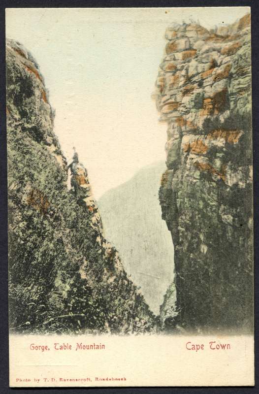 Post Card