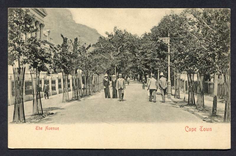 Post Card