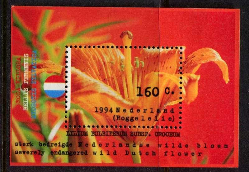 Netherlands - Miniature Sheet - 1994 - MNH