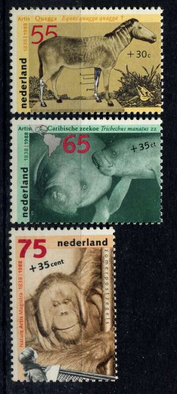 Netherlands - 1988 - MNH