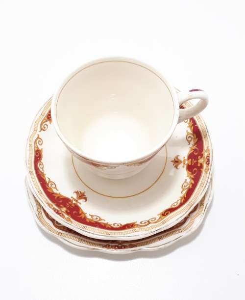 Vintage 1950s Fine Porcelain Grindley Cream Petal Rosemary Tea Trio - Cup, Saucer and Tea Plate