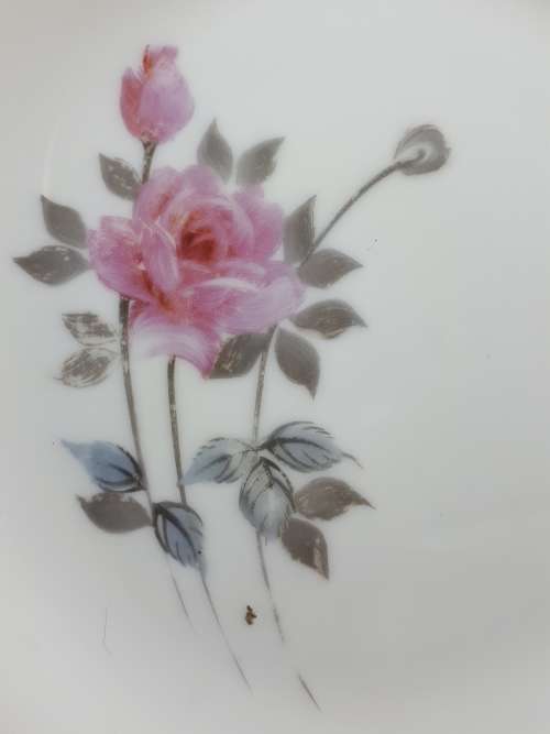 Japanese Fine Porcelain Vintage 1950`s Hayasi Kutani Tea Cup And Tea Plate Pattern 5788