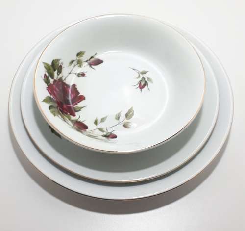 23 Piece Alfred Meakin Glo White Dinner Set - White With Rose Pattern And Gold Trim