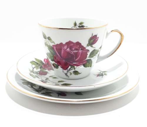 21 Piece Alfred Meakin Glo White Tea Set - White With Red Roses And Gold Trim