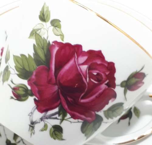 21 Piece Alfred Meakin Glo White Tea Set - White With Red Roses And Gold Trim