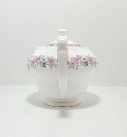 Vintage (1960s) Queen Anne Bone China (Shore and Coggins Ltd.) 6 Cup Tea Pot  Genevieve Pattern
