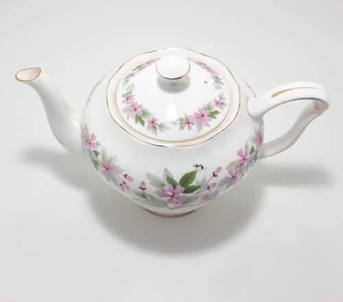 Vintage (1960s) Queen Anne Bone China (Shore and Coggins Ltd.) 6 Cup Tea Pot  Genevieve Pattern