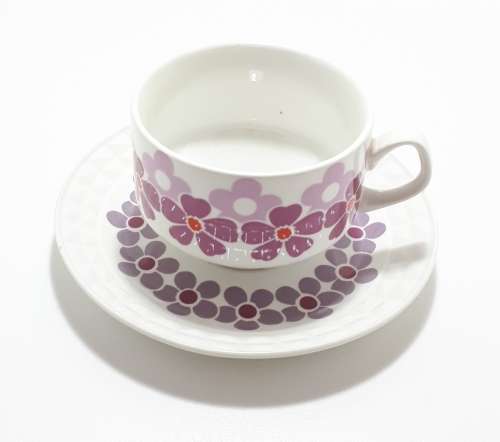 Retro Spanish Pontesa Porcelain Duo  Cup and Saucer
