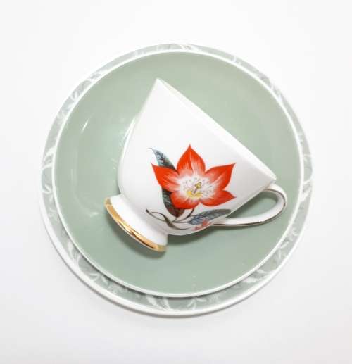 Tuscan Fine English Bone China Tea Trio  Poinsettia