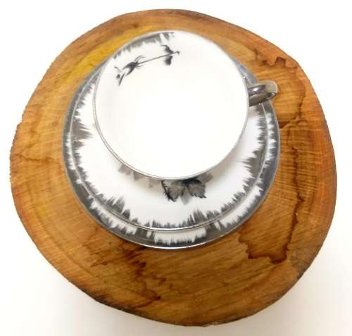 Shades Of Grey Unmarked Tea Trio  Cup, Saucer & Cake Plate