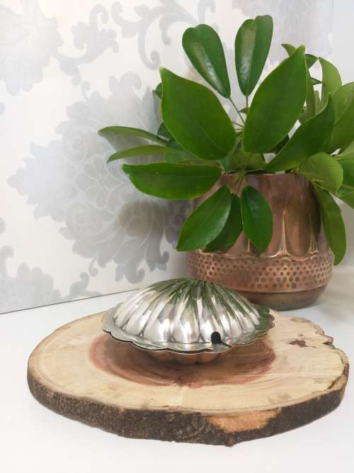 Vintage EPNS Silver plated Shell Shaped Butter Dish With Frosted Glass Liner