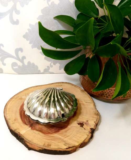 Vintage EPNS Silver plated Shell Shaped Butter Dish With Frosted Glass Liner