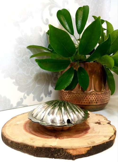 Vintage EPNS Silver plated Shell Shaped Butter Dish With Frosted Glass Liner