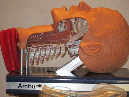 The Ambu Intubation Trainer made in Denmark