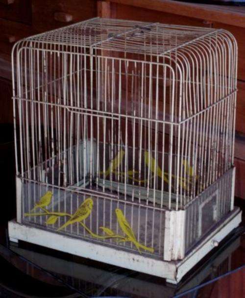 Rare mint green Art Deco 'Superkage' canary cage with painted glass side panels