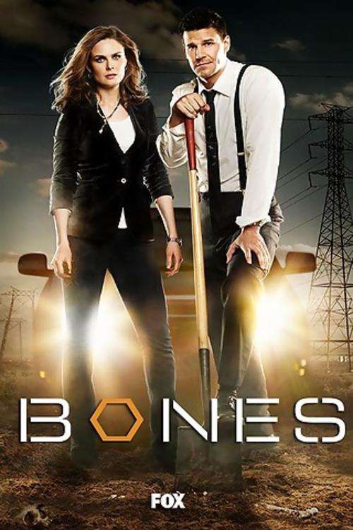 New, Sealed, & Original: Bones Season 1,2,3,&4