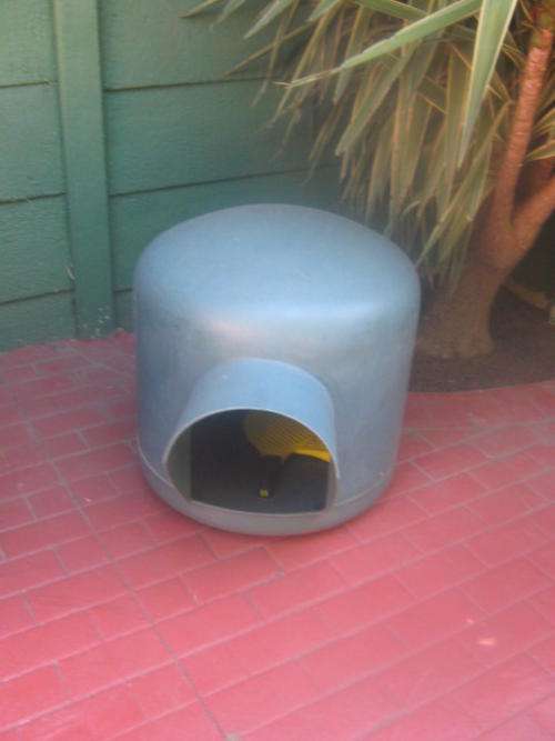 SMALL DOG KENNEL