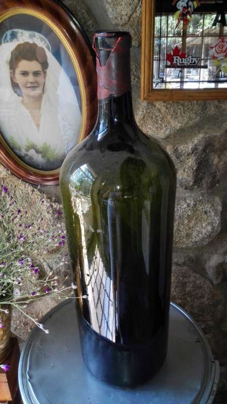 Large 18ltr Wine Bottle (empty)