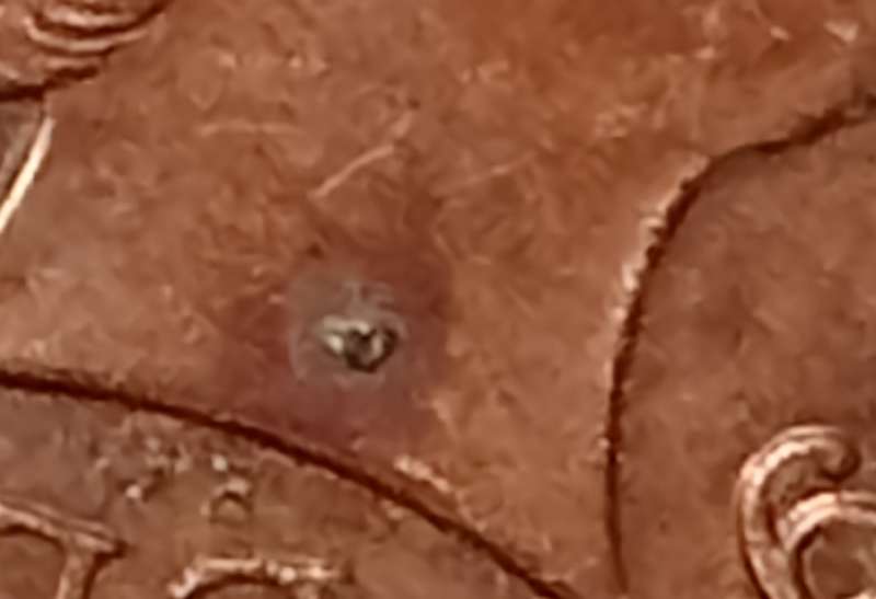 2009 GREAT BRITAIN  1 PENNY / NEW PENCE (with multiple small errors extra metal)
