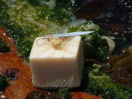 Natural Laundry Soap & Stain Remover