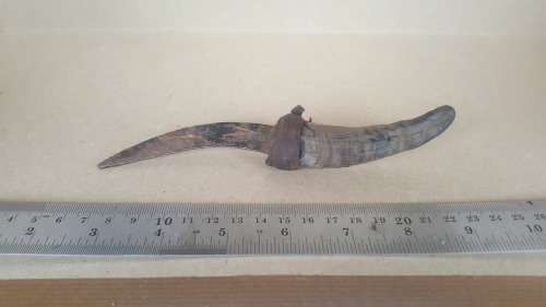 African! Impala Animal Horn Handle Knife