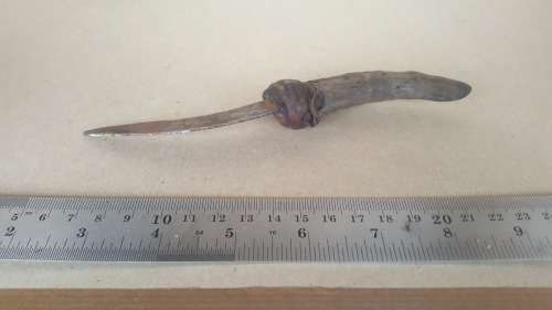 African! Impala Animal Horn Handle Knife