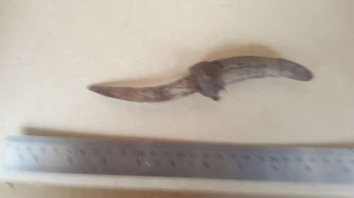 African! Impala Animal Horn Handle Knife