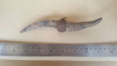 African! Impala Animal Horn Handle Knife