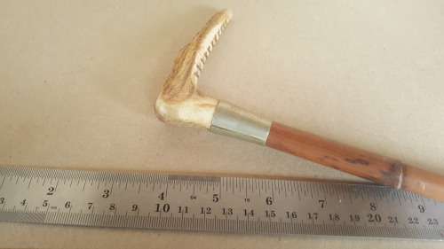 Anitque!  Cane Riding Crop With Nickel Ferrule And Stag Antler Handle