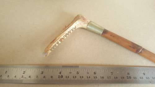 Anitque!  Cane Riding Crop With Nickel Ferrule And Stag Antler Handle