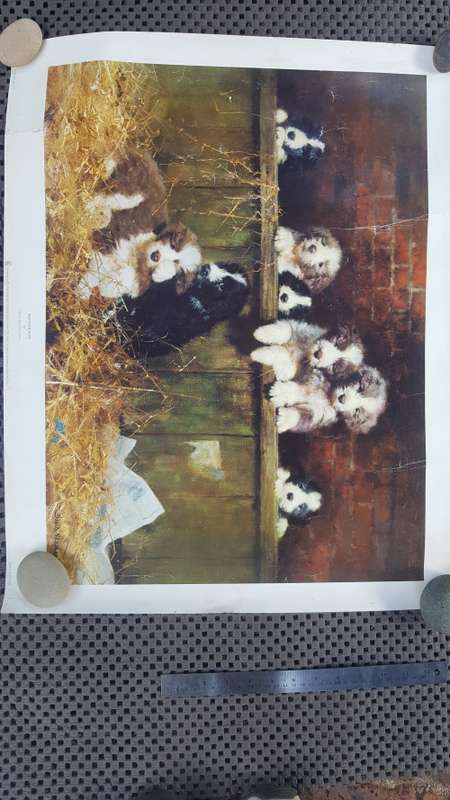 A David Shepherd Print, Muffin`s Pups