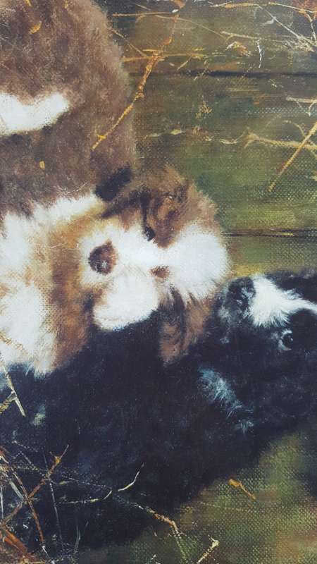 A David Shepherd Print, Muffin`s Pups