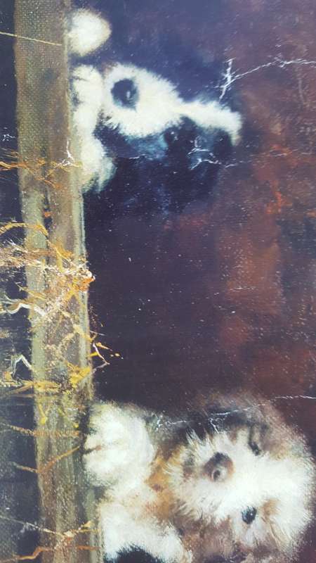 A David Shepherd Print, Muffin`s Pups