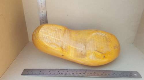Large Vintage Dutch Wooden Clog
