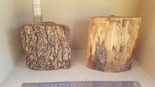 Africana! Busts - Hand Carved Natural Wooden Stumps - Live Edge - Book-Ends