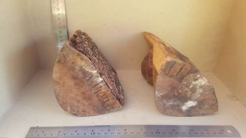 Africana! Busts - Hand Carved Natural Wooden Stumps - Live Edge - Book-Ends
