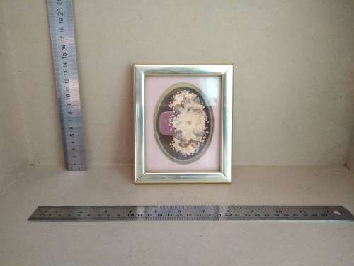 Vintage! Glass Framed Pressed Flower Art