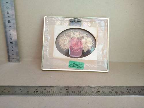 Vintage! Glass Framed Pressed Flower Art